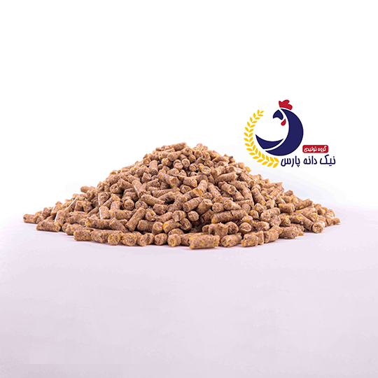 پایان دان یک